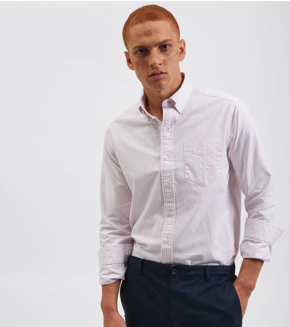 Camisas Ben Sherman Brighton Oxford Rosa | IQVE62139